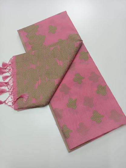 FANCY RAW SILK SAREE - B S CHANNABASAPPA & SONS