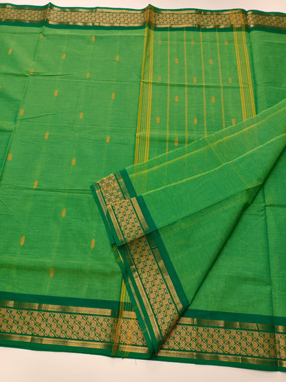 HANDLOOM BASED COTTON SAREE - B S CHANNABASAPPA & SONS