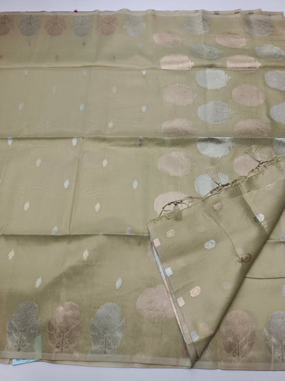 TISSUE COTTON SAREE - B S CHANNABASAPPA & SONS